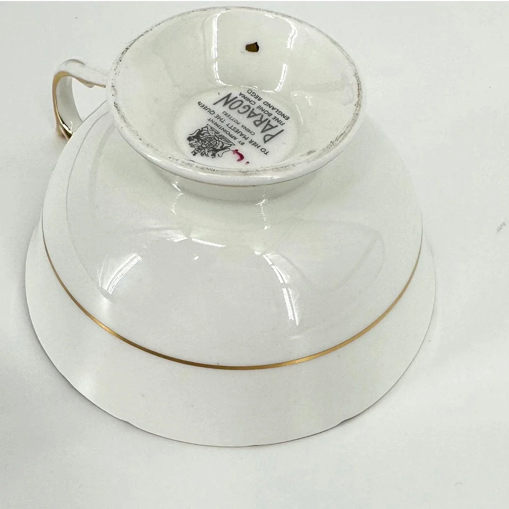 RARE Vntg PARAGON FLOATING PINK ROSE Pale Pink Princess Margaret Gold Cup Saucer